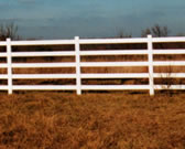 5 Rail Horse Fencing